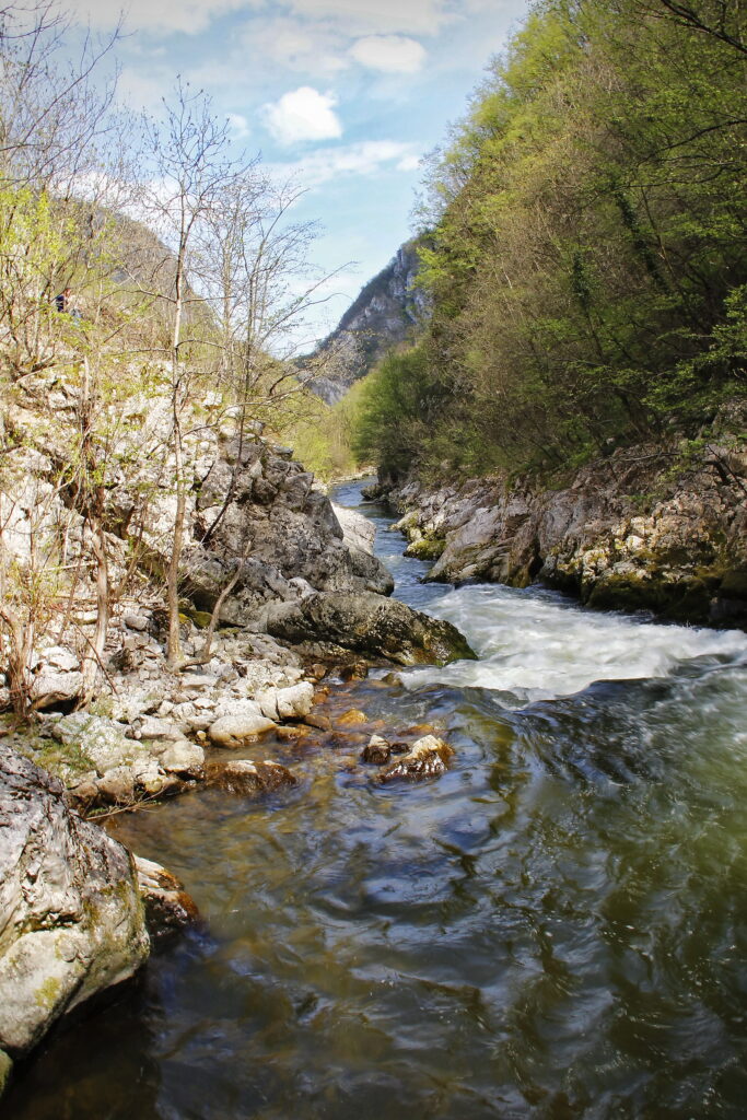 Navigacija zatvaranja Zelene staze u kanjonu Đetinje. reka, uzice