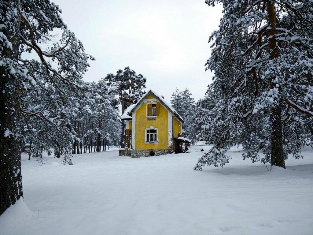 zlatibor, planina, sneg, zima, zuta kuca