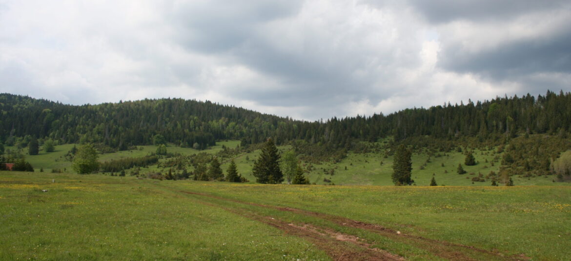 Subvencionisani vaučeri za odmor u Srbiji, planina Tara