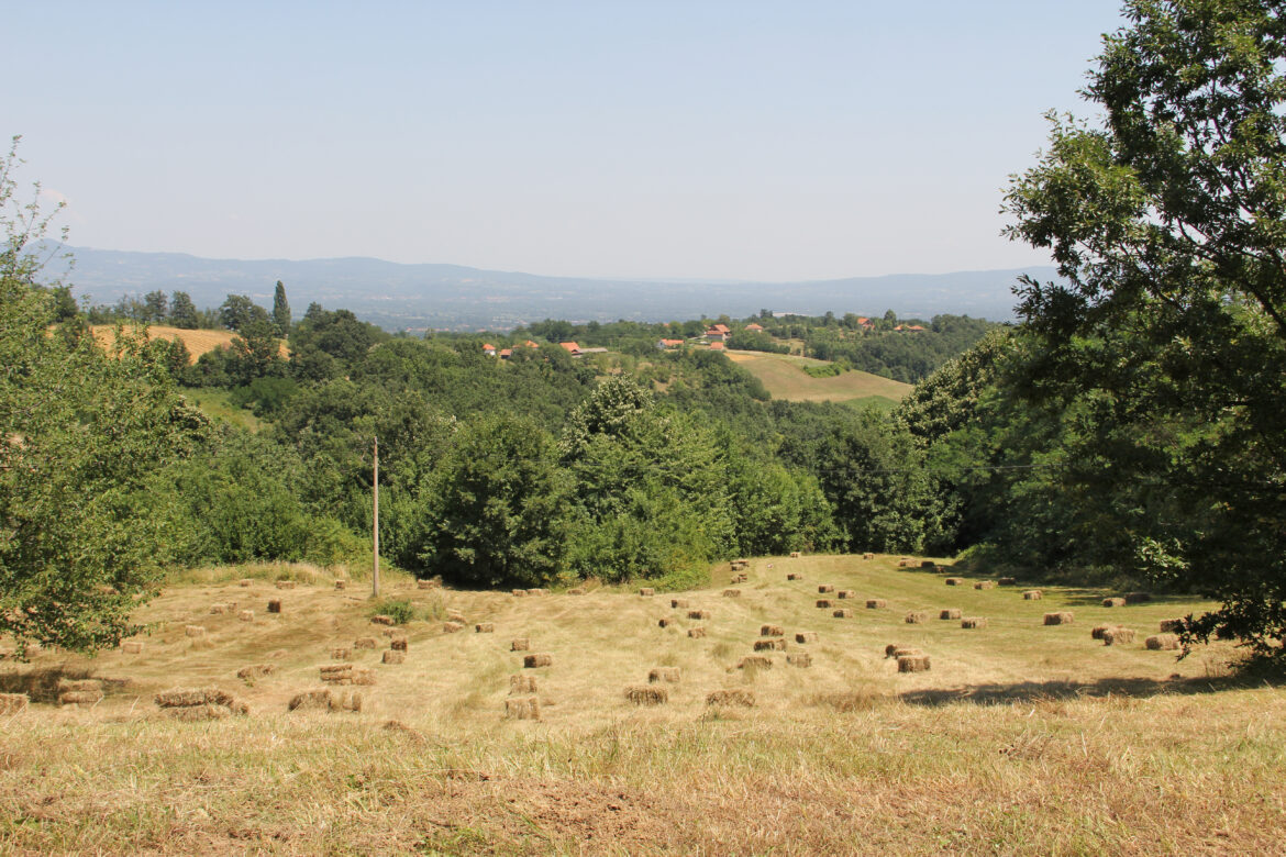 Otkrijte uzbuđenja planinarenja, planina Jelica