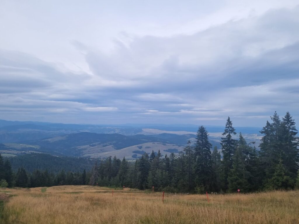Šuma, pogled sa Tornika