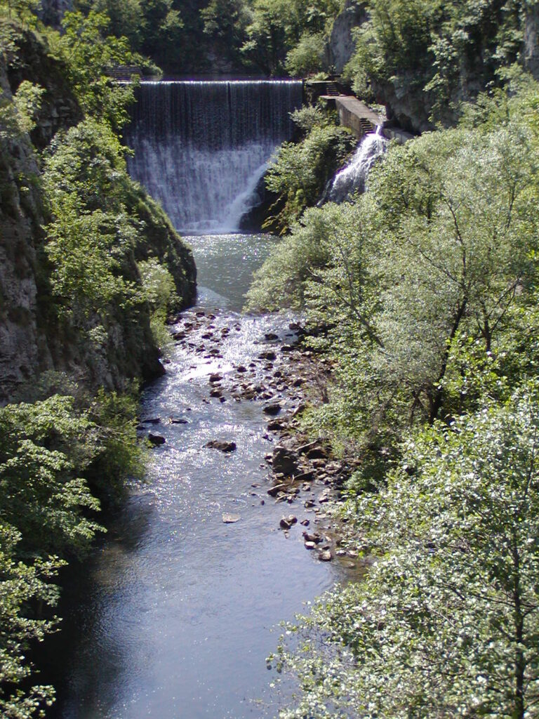 Đetinja, Turica, Užice