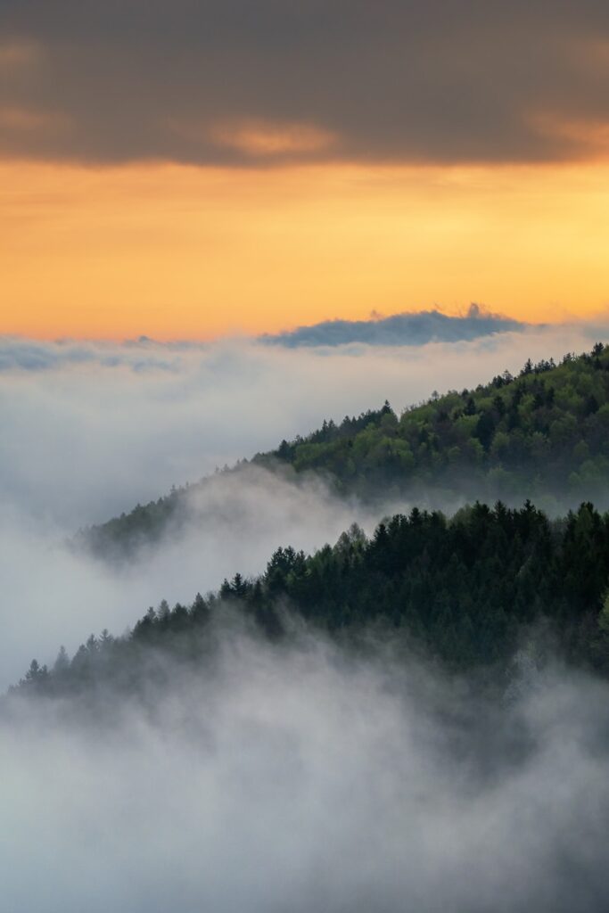 planina prekrivena maglom sa drvećem u prvom planu, vremenska prognoza