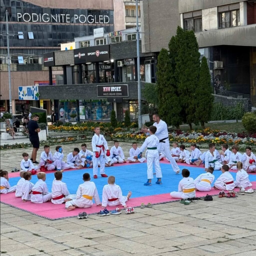 Karate Klub Užice