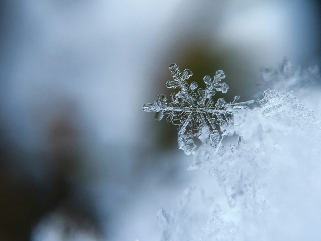 fokusirana fotografija pahuljice, rhmz