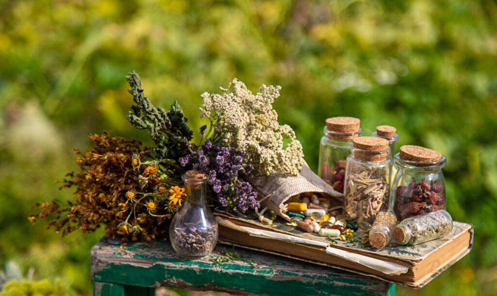 Momčilo Deljanin i njegov čudesni melem: Narodno isceljenje koje prevazilazi granice konvencionalne medicine 2 lekovitе  biljке