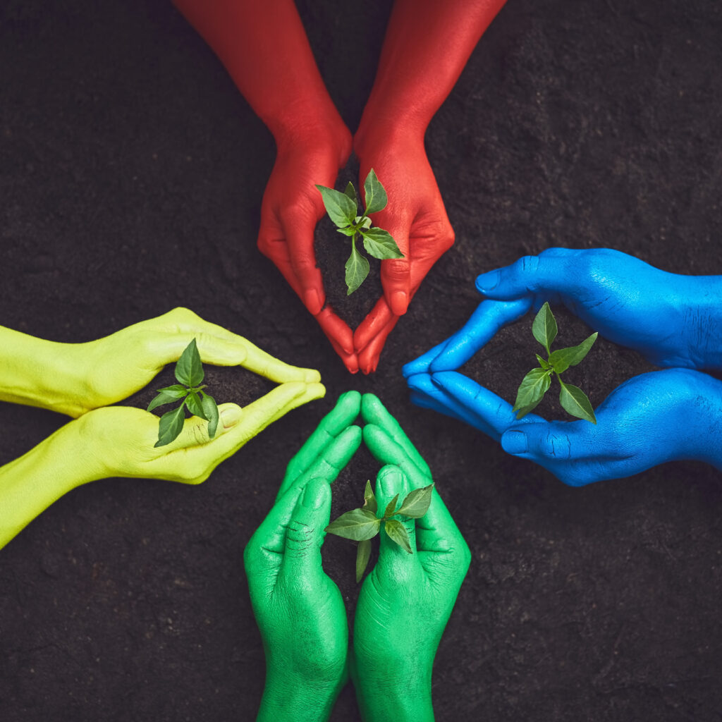 Zelene transformacije Zlatibora: Kako 400 novih stabala menja turistički centar 3 Zelene transformacije