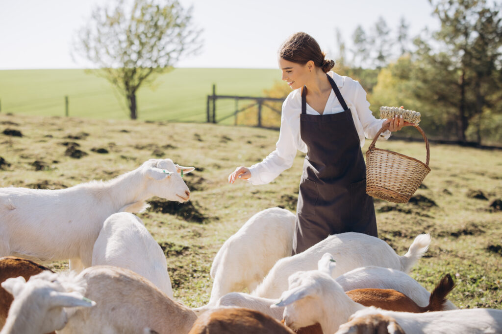 Organska stočarska proizvodnja: Podrška države i prilike za poljoprivrednike u 2025. godini 3 Organska stočarska proizvodnja
