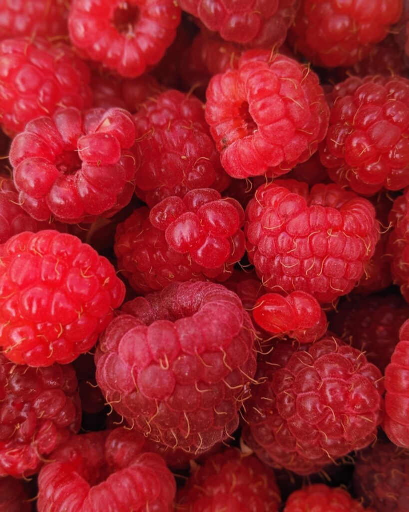 makro fotografija plodova maline