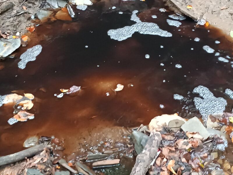 Turski potok ekološki mrtav - Ekstremno zagađenje ugrožava zdravlje Užičana 2 Turski potok