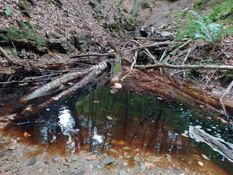 Turski potok ekološki mrtav - Ekstremno zagađenje ugrožava zdravlje Užičana 3 Turski potok