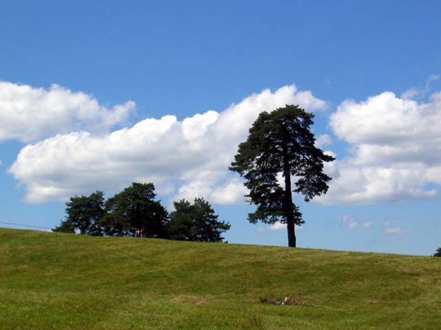 Central Europe Rural Tourism Forum: Put ka održivom razvoju Zlatibora i ruralnog turizma 6 Central Europe Rural Tourism Forum