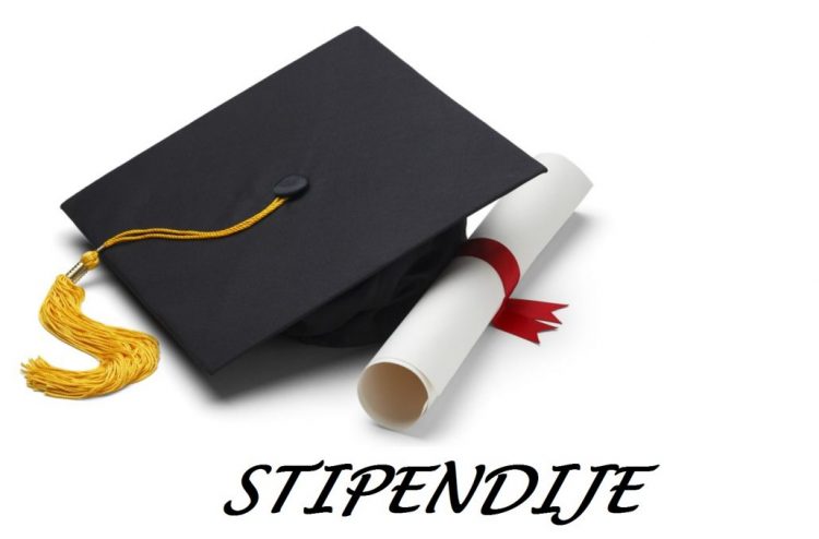Gradske stipendije Užice 2025/26: Kompletan vodič za studente 4 Gradske stipendije