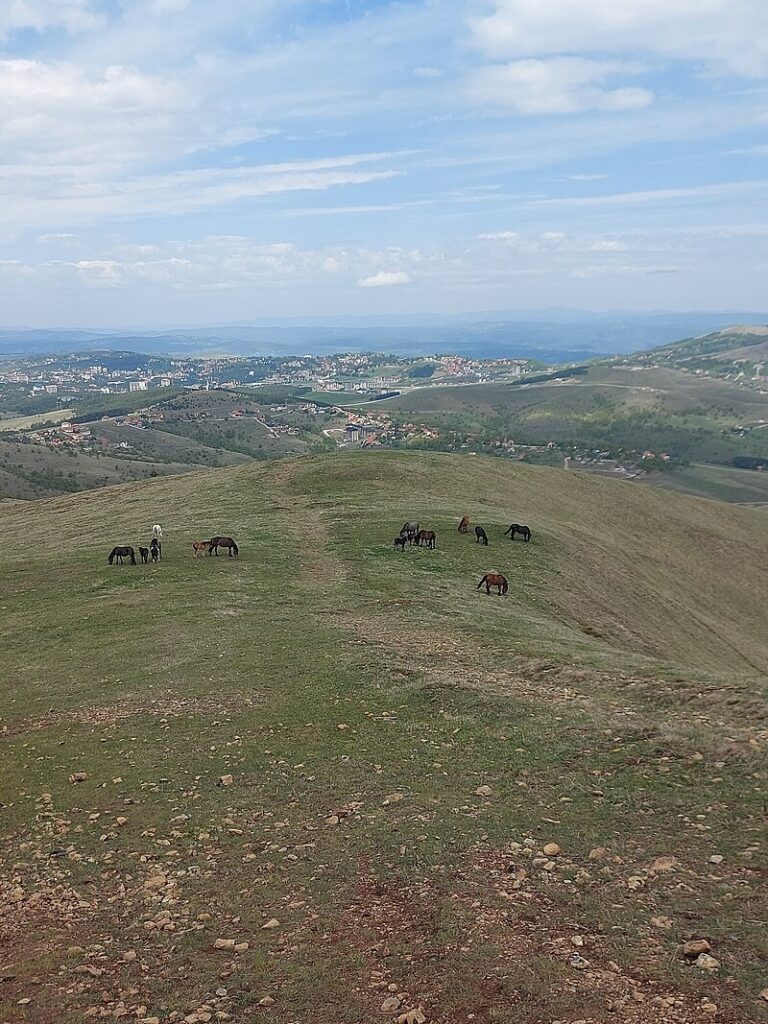 Međunarodnom sajmu turizma