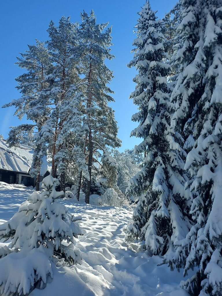 Zlatibor 2030: Strategija razvoja turizma i obrazovanja za budućnost 6 Zlatibor 2030