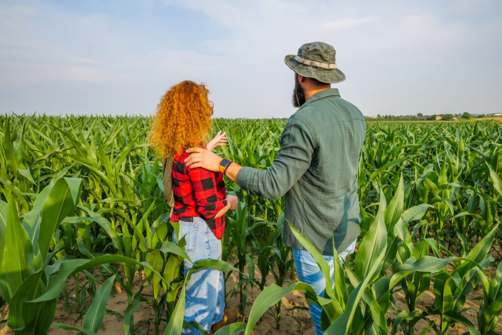 Podsticaji za osiguranje useva 2025: Kompletan vodič za poljoprivredne proizvođače 3 osiguranje useva