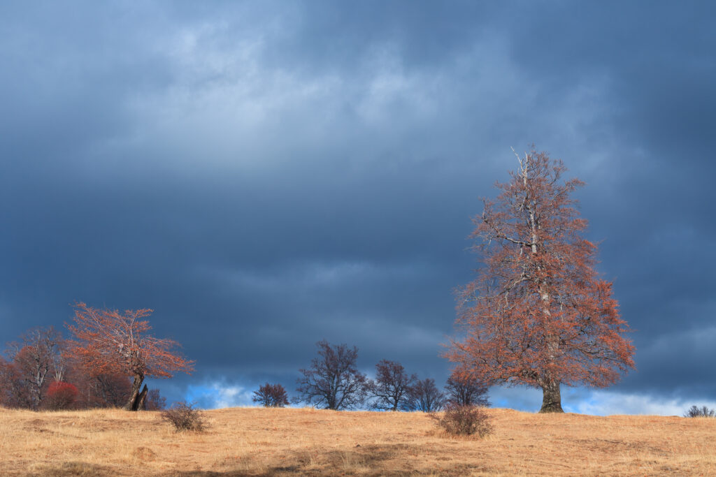 Vremenske promene u Srbiji: Analiza meteoroloških uslova i uticaj na svakodnevni život 2 Vremenske promene