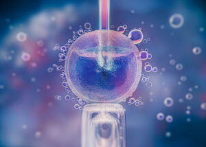 In vitro fertilization