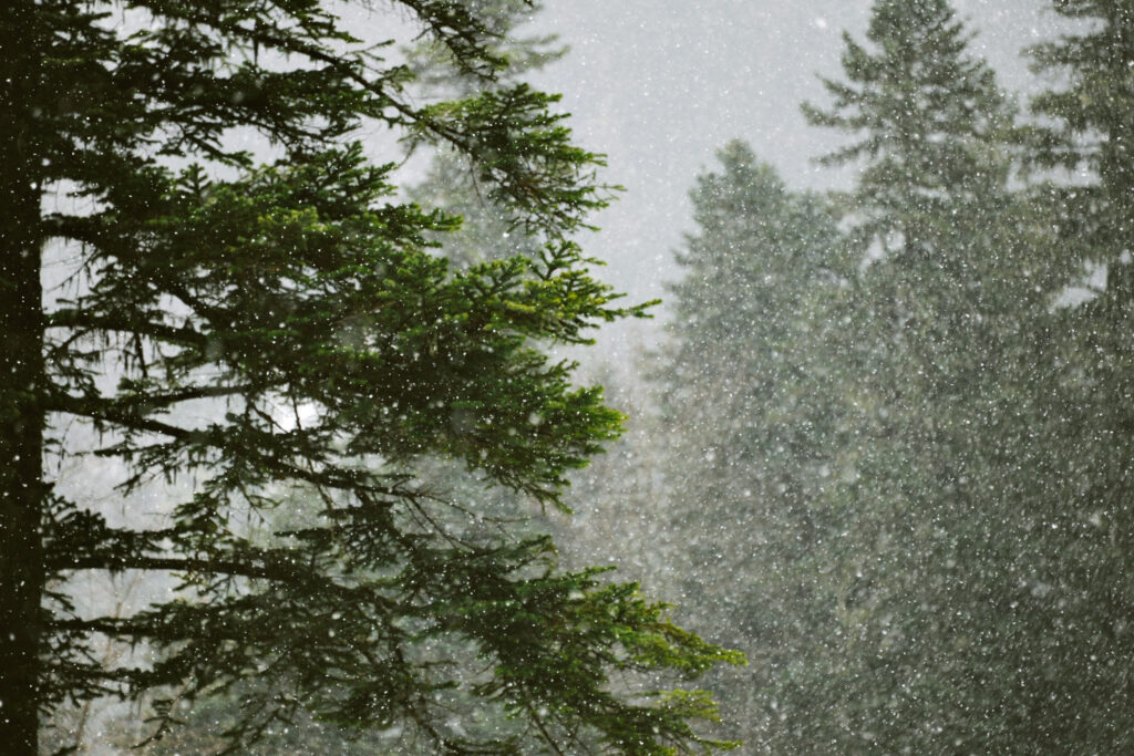 Vremenske prilike u Srbiji