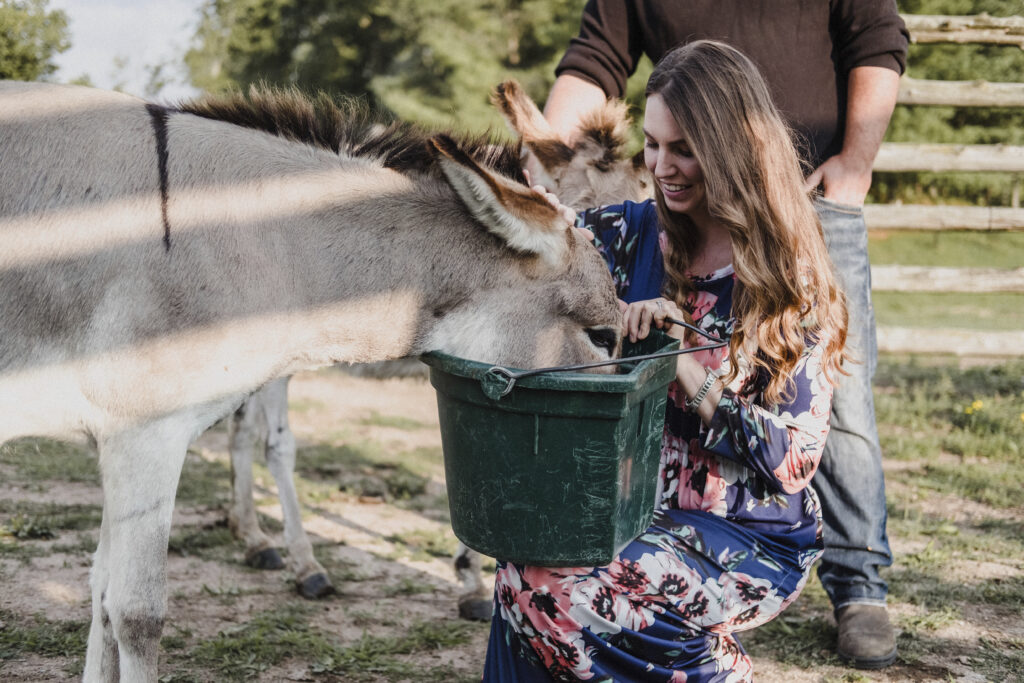 Magareće mleko i sir