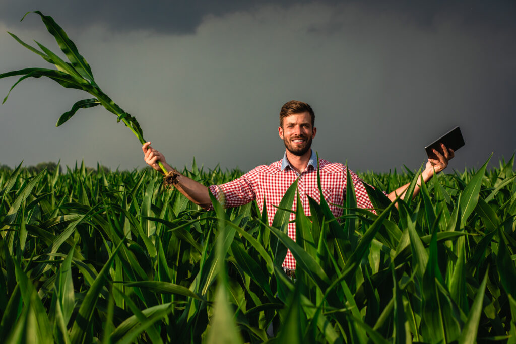 Podsticaji za osiguranje useva 2025: Kompletan vodič za poljoprivredne proizvođače 2 osiguranje useva