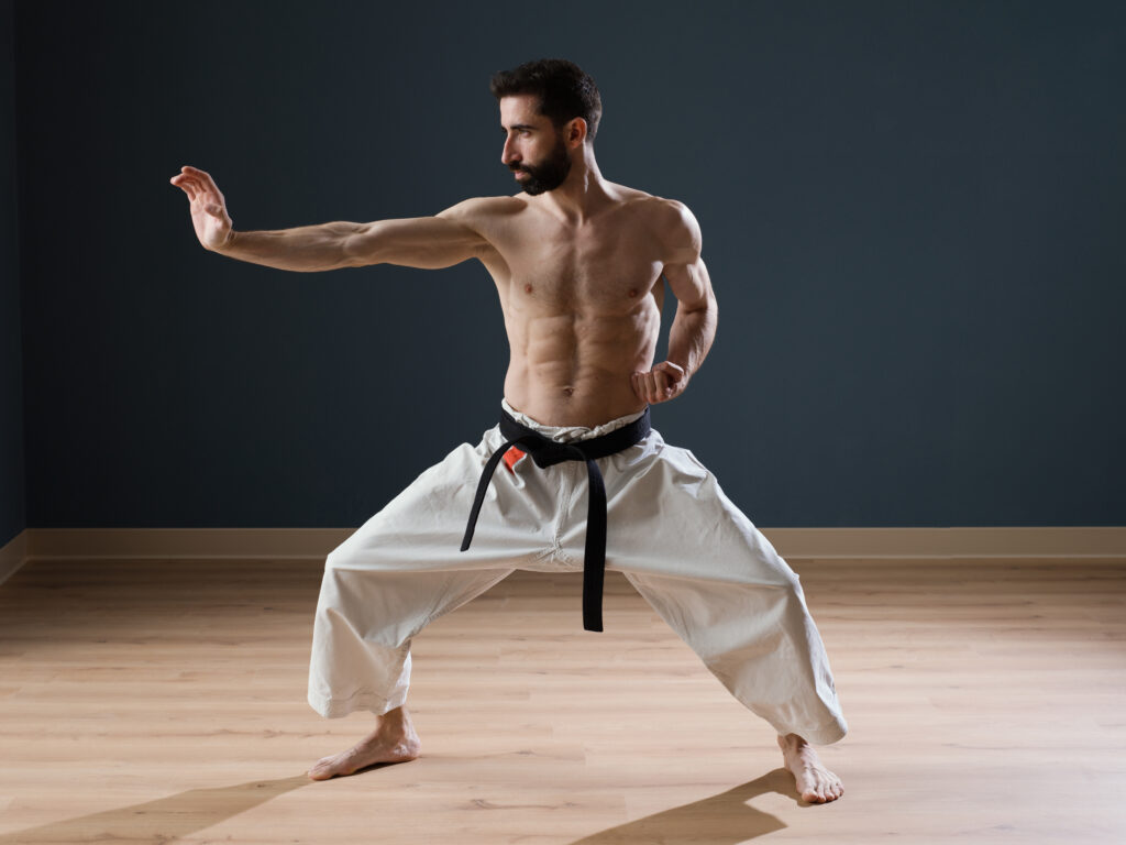 Kup regiona Užice Srbije: Rekordni uspeh mladih karatista iz Užica 2 Kup regiona