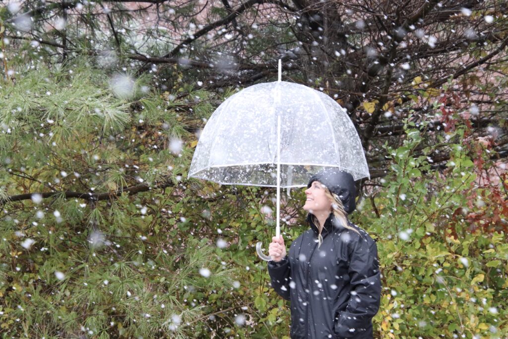 Vremenske prilike u Srbiji