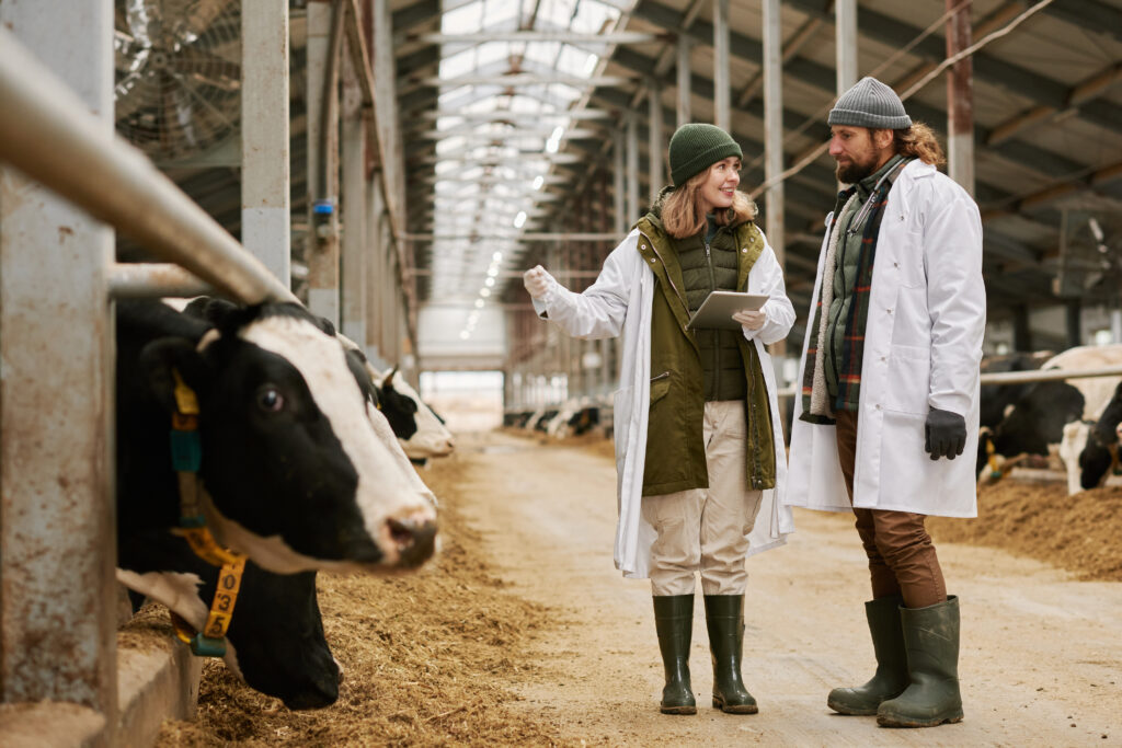 Analiza tržišta stoke