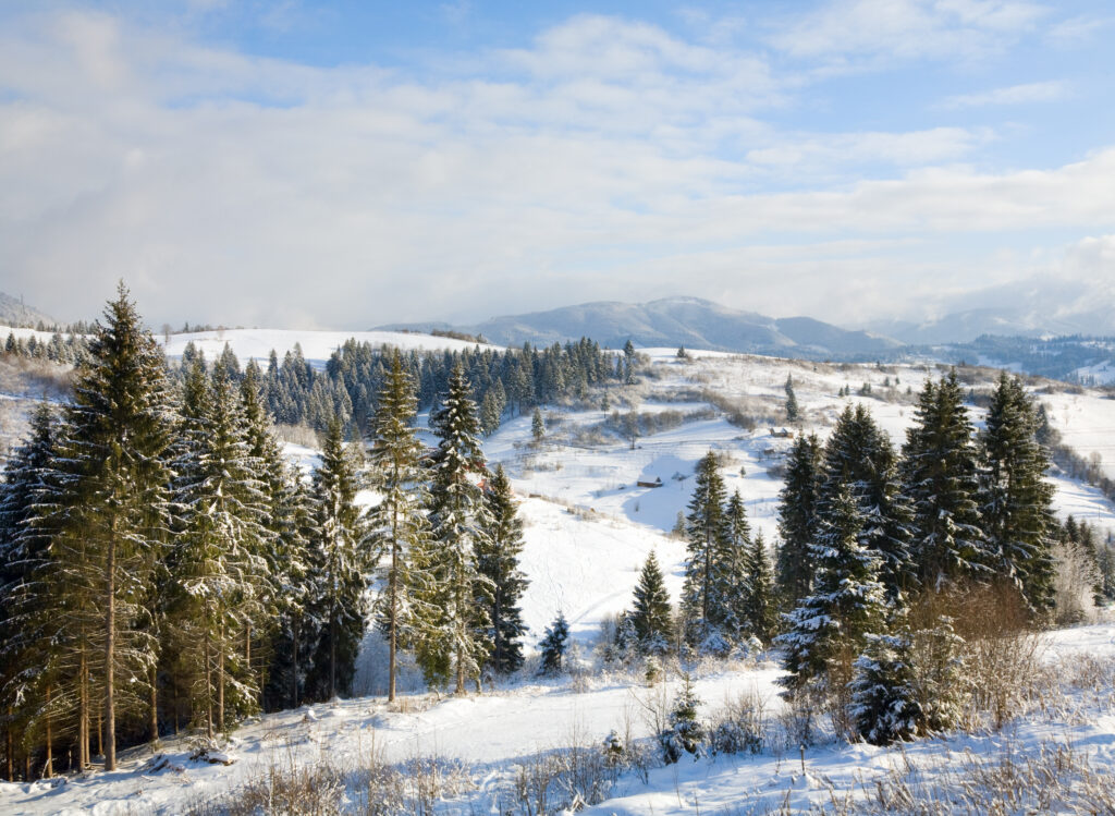 Zlatibor pod snegom