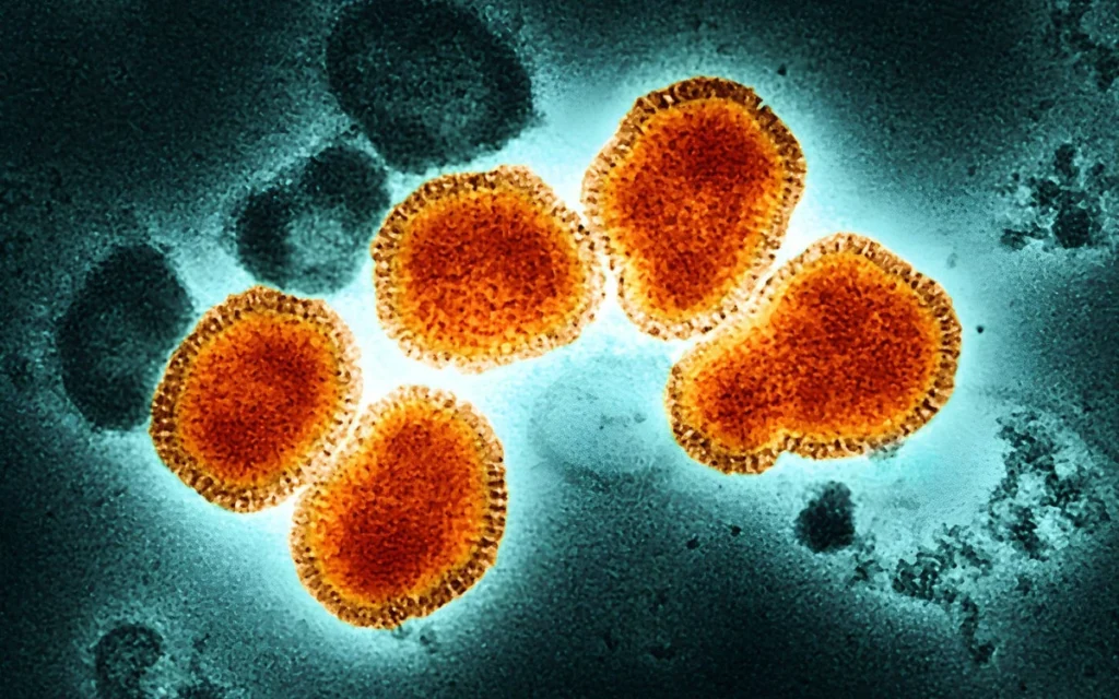 slika celija pod mikroskopom