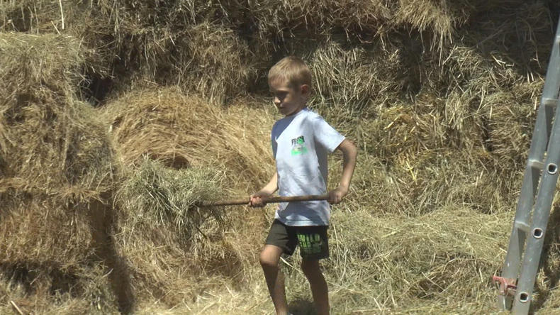 Bogdan (7) iz Brančića: Najmlađi domaćin Srbije i priča o budućnosti sela 2 Bogdan (7) iz Brančića
