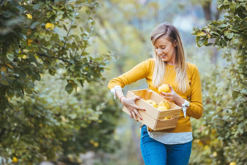 IPARD poziv za voćarstvo 2025: Sve što treba da znate o novim podsticajima za voće 2 IPARD poziv za voćarstvo 2025