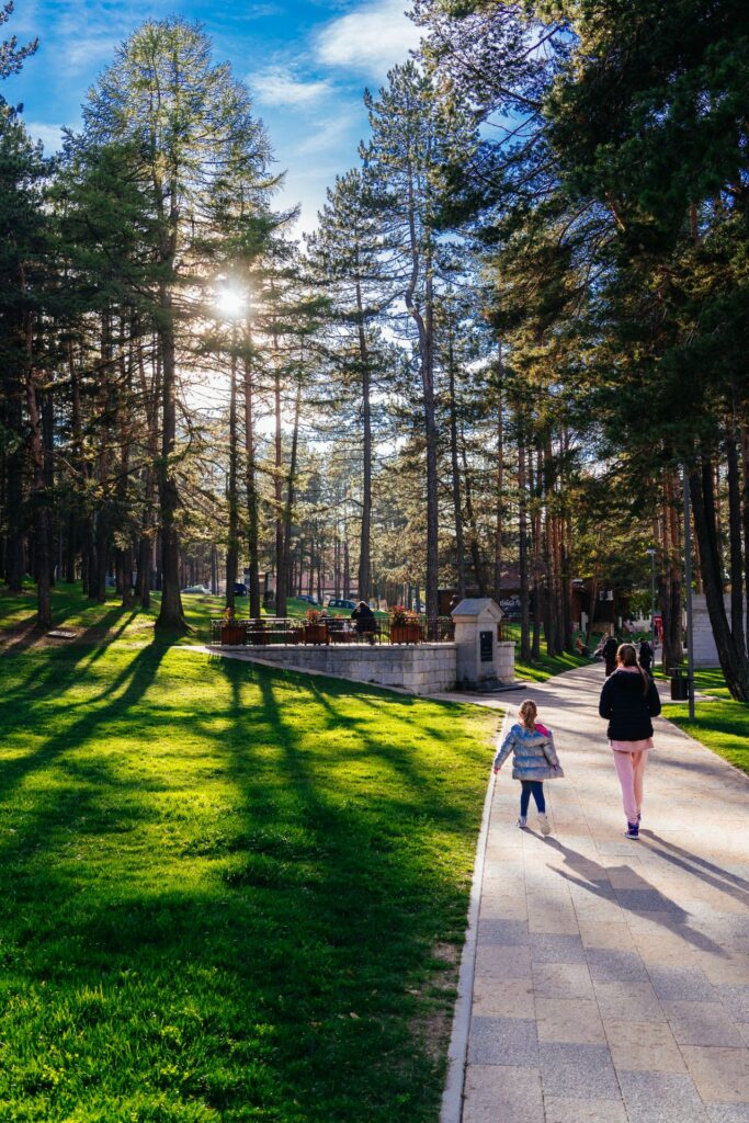 Zdravstveni sistem Čajetine i Zlatibora