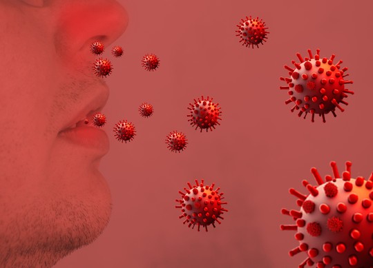 Grip u Srbiji: Analiza trenutne epidemiološke situacije i značaj vakcinacije 2 Grip u Srbiji