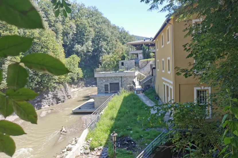 Kreozan u Ivanjici: Ozbiljna ekološka i zdravstvena kriza iza trovanja pasa 2 Kreozan u Ivanjici