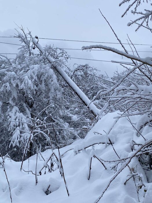 Mećava na Zlatiboru: Analiza snežnih padavina i bezbednost u saobraćaju 2 Mećava na Zlatiboru