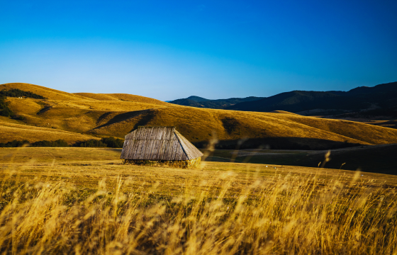 Otvoren konkurs za podršku ruralnom turizmu na Zlatiboru i šire