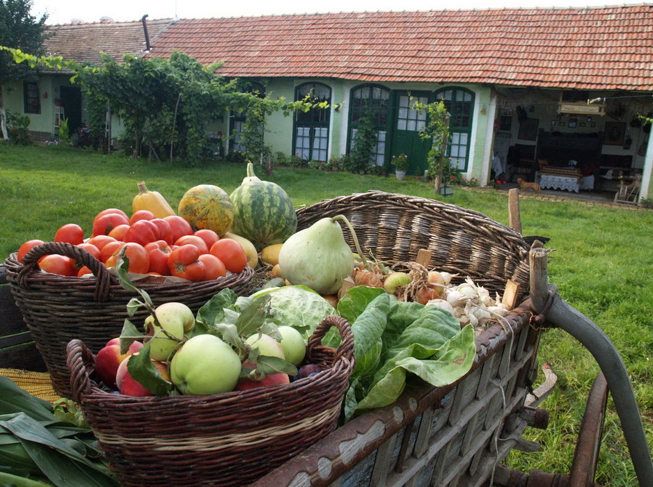 Ministarstvo privrede raspisuje Javni poziv za podradu voća i povrća