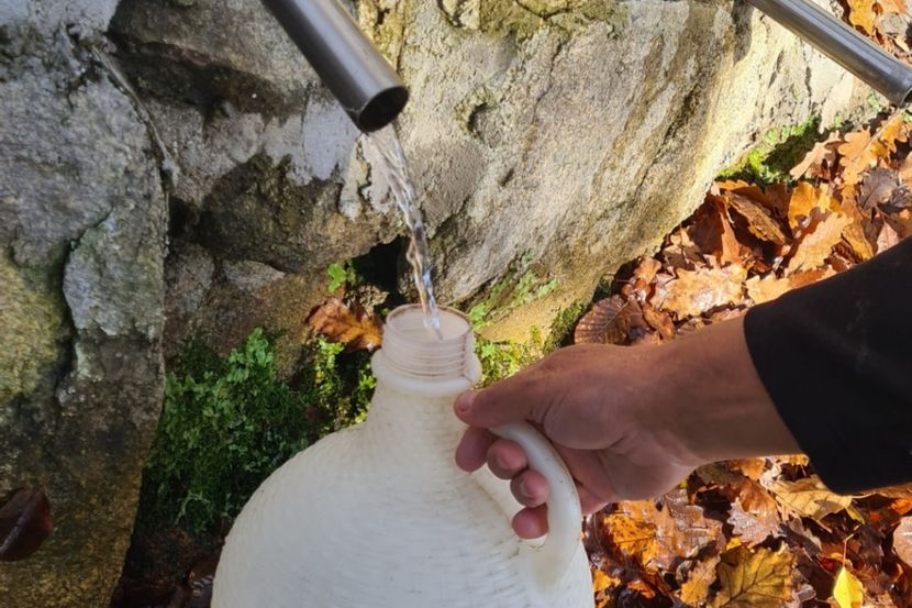 Odmenjska Voda: Prirodni Lek Protiv Heliko Bakterije i Ešerihije na Planini Čemerno 2 Odmenjska Voda